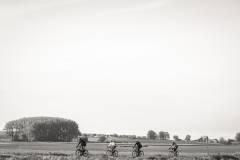 DP2_4467